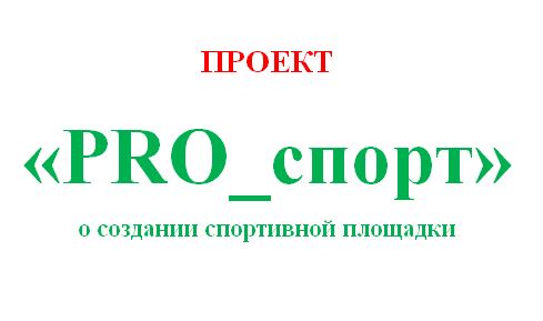 Конкурс молодежных инициатив 2024: ПРОЕКТ «PRO_спорт» о создании спортивной площадки