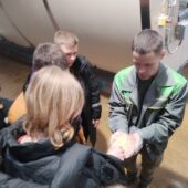 IMG_20241127_140554