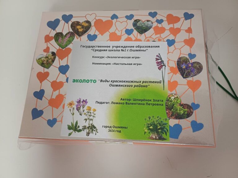 Областной конкурс «Экологическая игра»