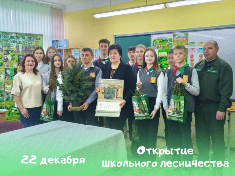 Школьное лесничество «Хранители леса»