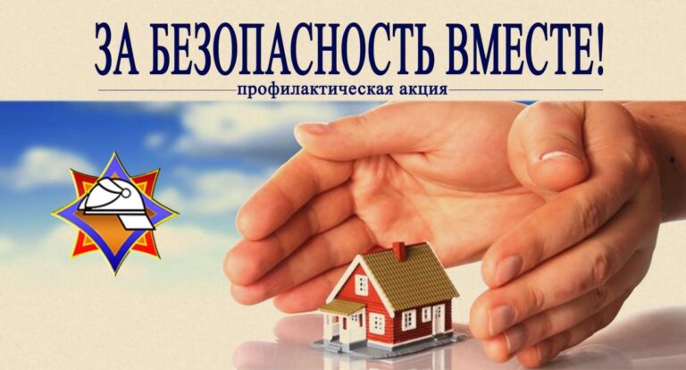 Профилактическая акция «За безопасность вместе!»