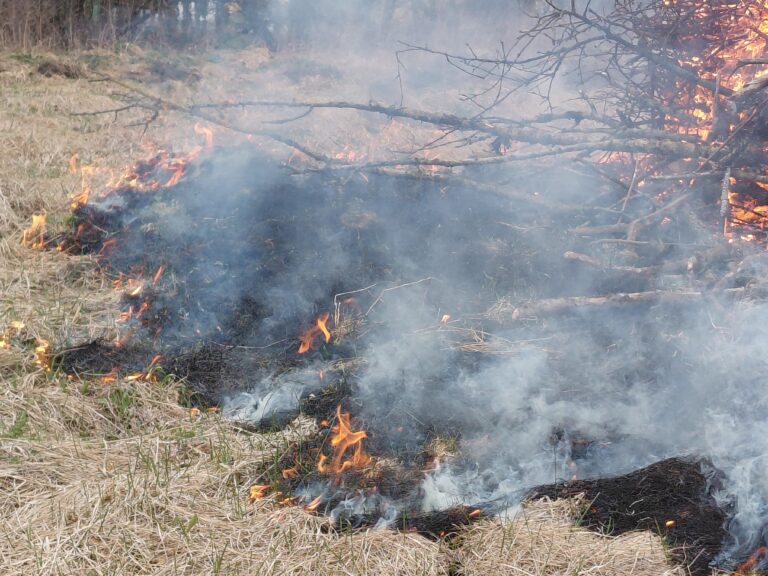 Служба 101 сообщает / Внимание! Пожароопасный период!